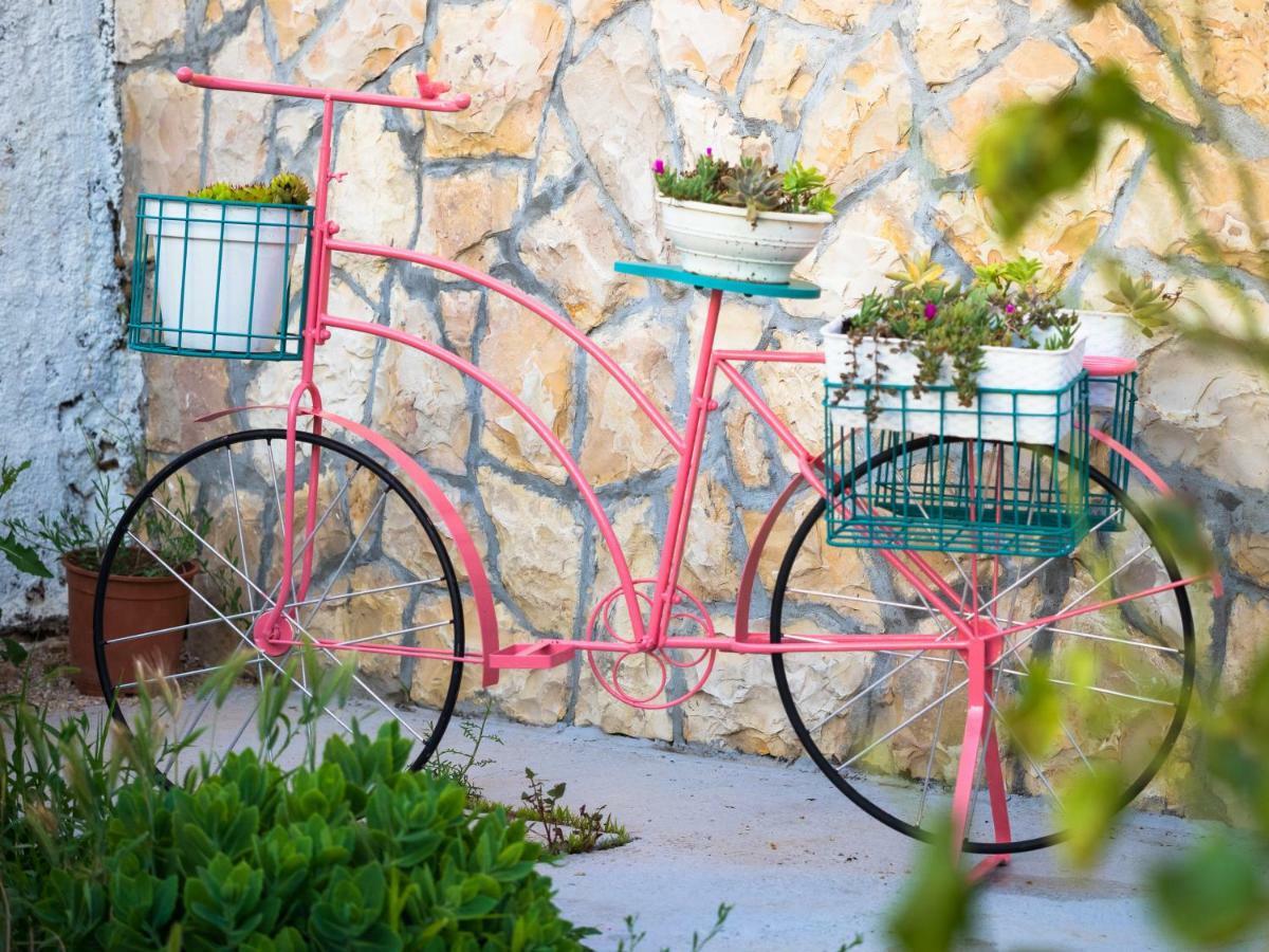 הוילה שיבניק Sun Gardens מראה חיצוני תמונה